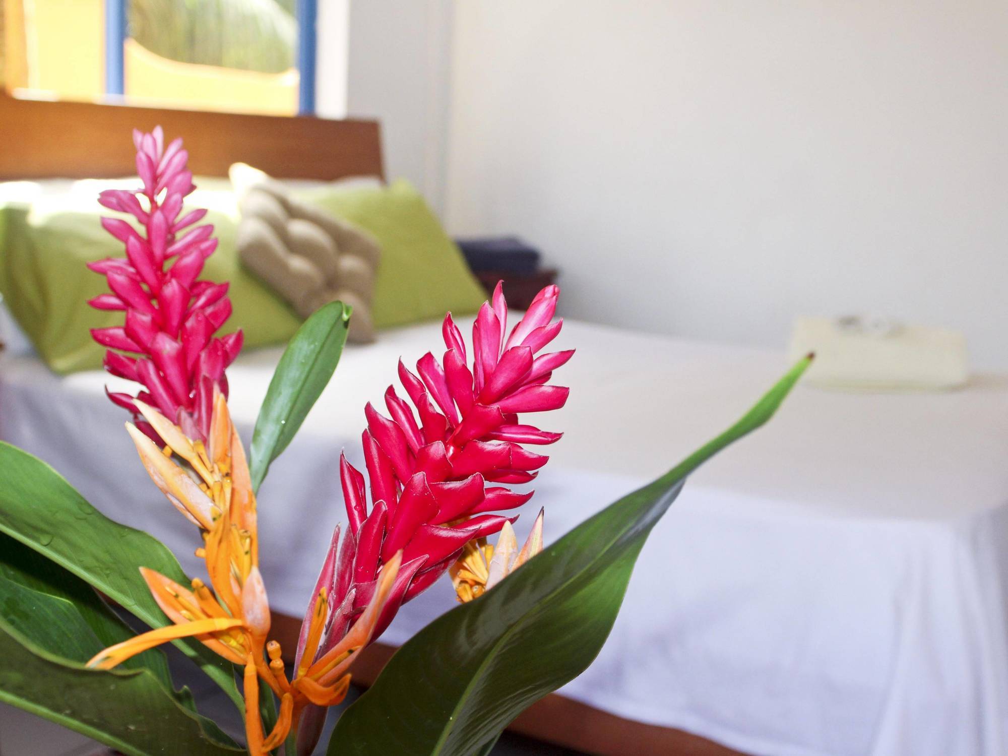 Vicky'S Holiday Apartment Beau Vallon  Eksteriør billede