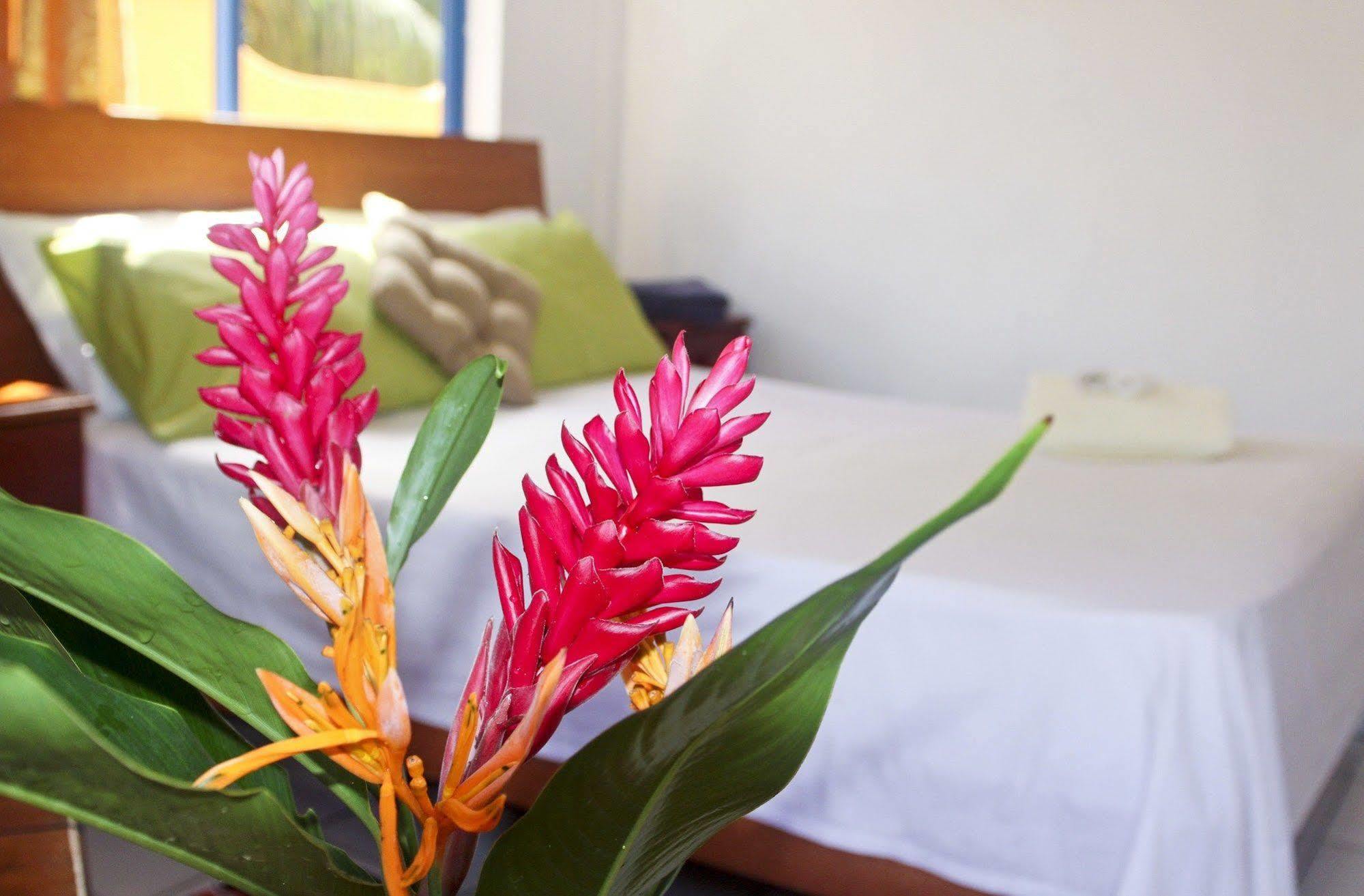 Vicky'S Holiday Apartment Beau Vallon  Eksteriør billede